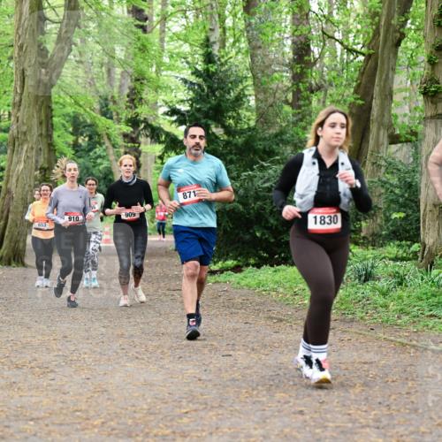 19.04.2026 - Hammer Lauf Dr. Thomas Lammeyer http://msf.ph/oto/9533723 19.04.2026 10:15:01 Laufen 910, 909, 653, 871, 1830, 1692 meine-sportfotos.de