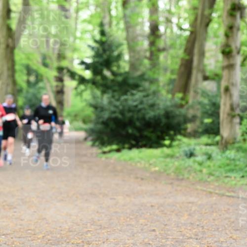 19.04.2026 - Hammer Lauf Dr. Thomas Lammeyer http://msf.ph/oto/9533830 19.04.2026 10:15:18 Laufen 135 meine-sportfotos.de