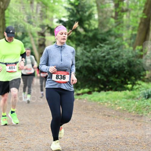19.04.2026 - Hammer Lauf Dr. Thomas Lammeyer http://msf.ph/oto/9534260 19.04.2026 10:16:16 Laufen 484, 836 meine-sportfotos.de