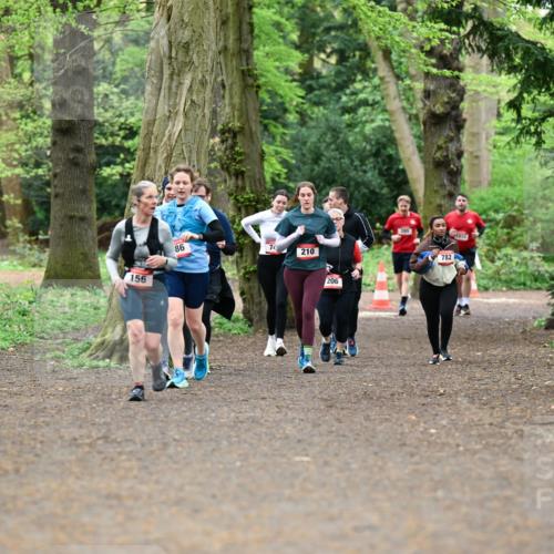 19.04.2026 - Hammer Lauf Dr. Thomas Lammeyer http://msf.ph/oto/9534632 19.04.2026 10:17:06 Laufen 156, 210, 206, 782 meine-sportfotos.de