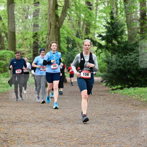 19.04.2026 - Hammer Lauf Dr. Thomas Lammeyer http://msf.ph/oto/9534699 19.04.2026 10:17:13 Laufen 310, 186, 156 meine-sportfotos.de