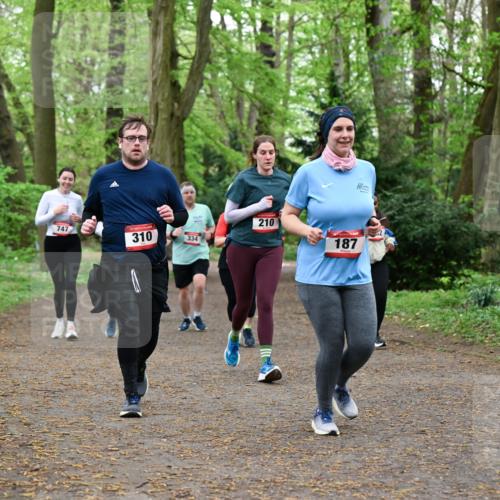 19.04.2026 - Hammer Lauf Dr. Thomas Lammeyer http://msf.ph/oto/9534732 19.04.2026 10:17:16 Laufen 747, 310, 334, 210, 187, 186 meine-sportfotos.de