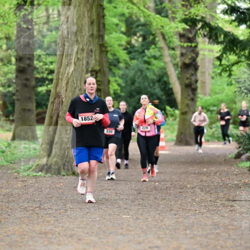 19.04.2026 - Hammer Lauf Dr. Thomas Lammeyer http://msf.ph/oto/9534897 19.04.2026 10:17:34 Laufen 1852, 230, 229 meine-sportfotos.de