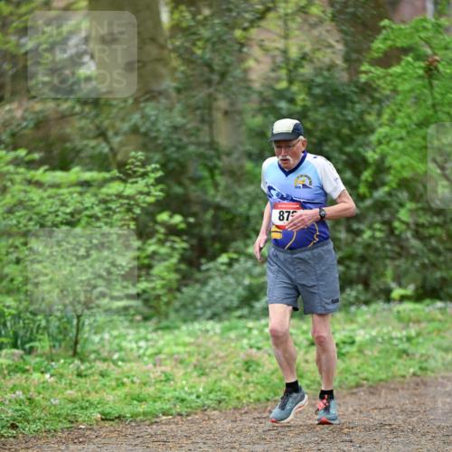 19.04.2026 - Hammer Lauf Dr. Thomas Lammeyer http://msf.ph/oto/9536432 19.04.2026 10:24:03 Laufen  meine-sportfotos.de