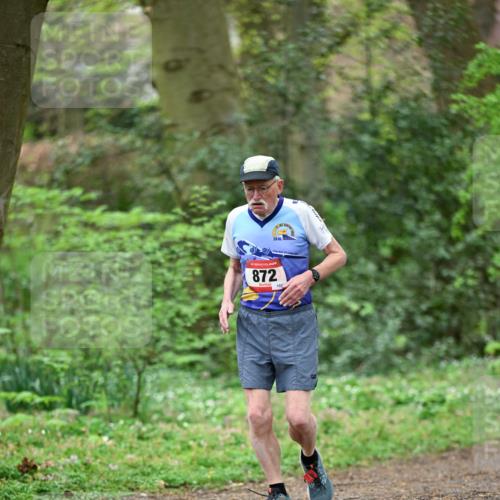 19.04.2026 - Hammer Lauf Dr. Thomas Lammeyer http://msf.ph/oto/9536442 19.04.2026 10:24:03 Laufen 872, 152 meine-sportfotos.de