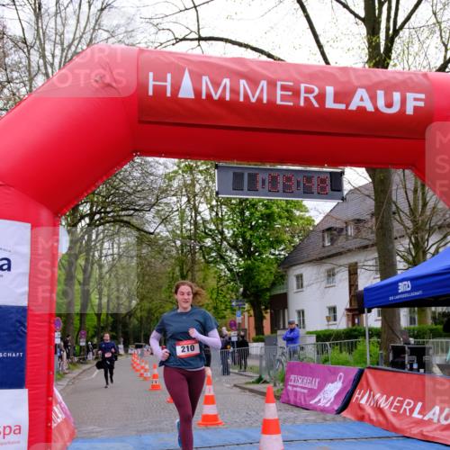 19.04.2026 - Hammer Lauf Tim E. http://msf.ph/oto/9536489 19.04.2026 10:54:56 Ziel 113, 210, 271, 272, 310 meine-sportfotos.de