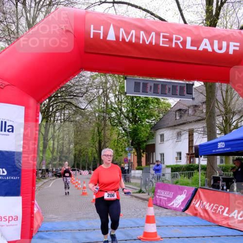 19.04.2026 - Hammer Lauf Tim E. http://msf.ph/oto/9536664 19.04.2026 10:56:19 Ziel 206, 526, 1144 meine-sportfotos.de