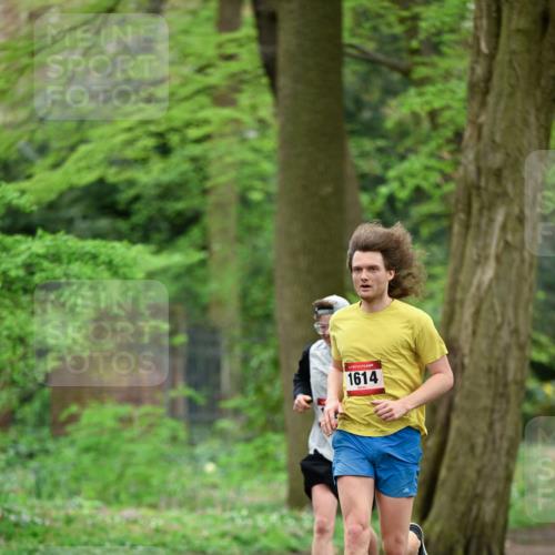 19.04.2026 - Hammer Lauf Dr. Thomas Lammeyer http://msf.ph/oto/9536930 19.04.2026 10:27:35 Laufen 1614 meine-sportfotos.de