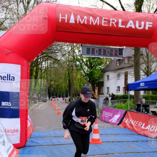 19.04.2026 - Hammer Lauf Tim E. http://msf.ph/oto/9537208 19.04.2026 11:02:53 Ziel 808 meine-sportfotos.de
