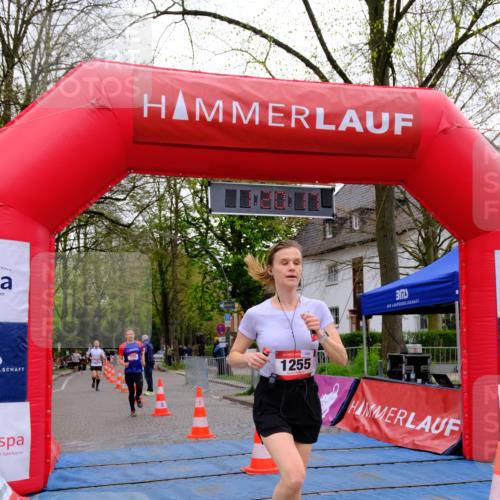 19.04.2026 - Hammer Lauf Tim E. http://msf.ph/oto/9537483 19.04.2026 11:05:26 Ziel 133, 520, 772, 1255 meine-sportfotos.de