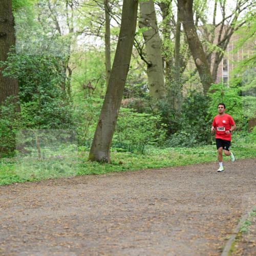 19.04.2026 - Hammer Lauf Dr. Thomas Lammeyer http://msf.ph/oto/9537872 19.04.2026 10:32:49 Laufen 1002 meine-sportfotos.de