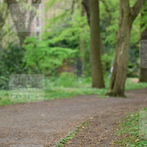 19.04.2026 - Hammer Lauf Dr. Thomas Lammeyer http://msf.ph/oto/9538067 19.04.2026 10:33:25 Laufen  meine-sportfotos.de