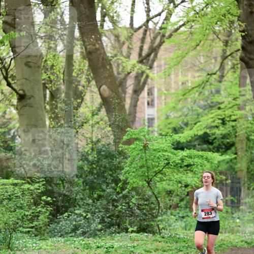 19.04.2026 - Hammer Lauf Dr. Thomas Lammeyer http://msf.ph/oto/9538234 19.04.2026 10:34:11 Laufen 283 meine-sportfotos.de