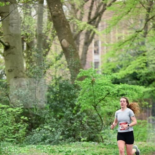 19.04.2026 - Hammer Lauf Dr. Thomas Lammeyer http://msf.ph/oto/9538235 19.04.2026 10:34:11 Laufen  meine-sportfotos.de