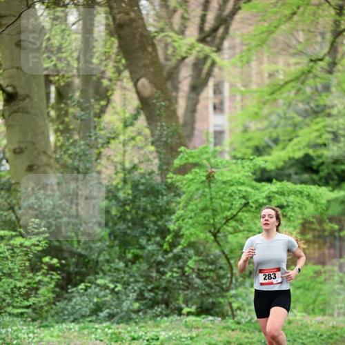 19.04.2026 - Hammer Lauf Dr. Thomas Lammeyer http://msf.ph/oto/9538237 19.04.2026 10:34:11 Laufen 283 meine-sportfotos.de