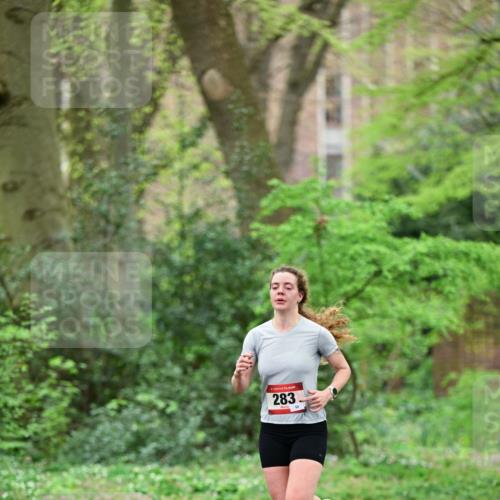 19.04.2026 - Hammer Lauf Dr. Thomas Lammeyer http://msf.ph/oto/9538244 19.04.2026 10:34:12 Laufen 283 meine-sportfotos.de
