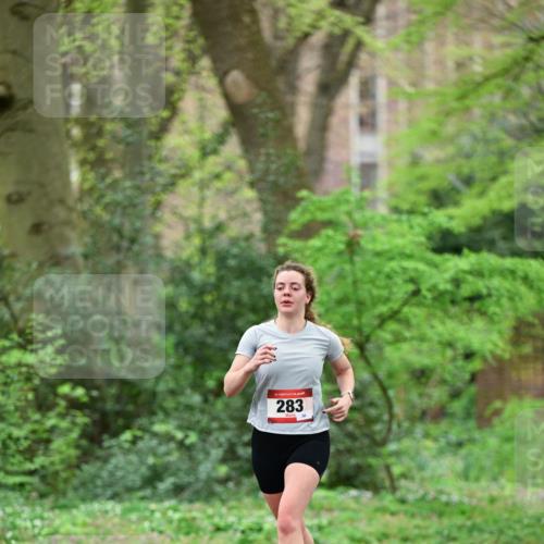 19.04.2026 - Hammer Lauf Dr. Thomas Lammeyer http://msf.ph/oto/9538248 19.04.2026 10:34:12 Laufen 283 meine-sportfotos.de