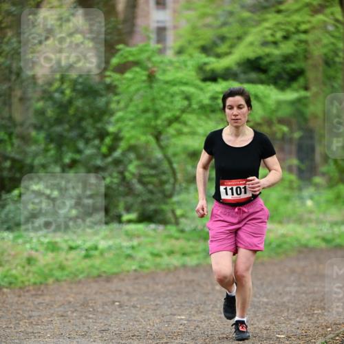 19.04.2026 - Hammer Lauf Dr. Thomas Lammeyer http://msf.ph/oto/9539506 19.04.2026 10:40:22 Laufen 1101 meine-sportfotos.de