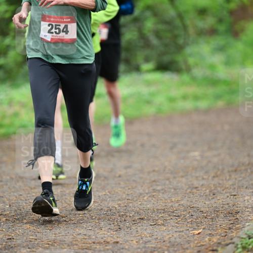 19.04.2026 - Hammer Lauf Dr. Thomas Lammeyer http://msf.ph/oto/9539649 19.04.2026 10:40:45 Laufen 254 meine-sportfotos.de