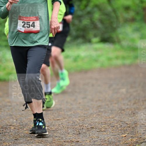 19.04.2026 - Hammer Lauf Dr. Thomas Lammeyer http://msf.ph/oto/9539655 19.04.2026 10:40:45 Laufen 254 meine-sportfotos.de