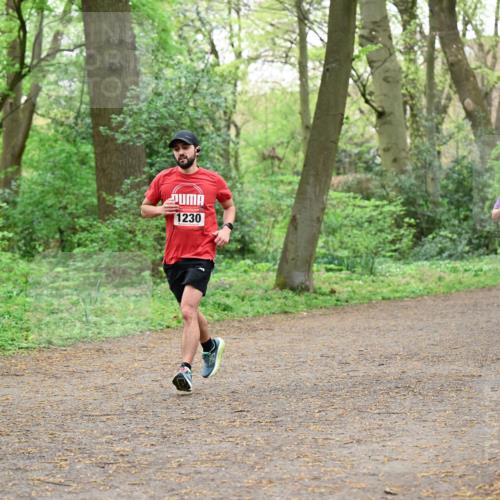 19.04.2026 - Hammer Lauf Dr. Thomas Lammeyer http://msf.ph/oto/9539718 19.04.2026 10:40:52 Laufen 1230, 733 meine-sportfotos.de