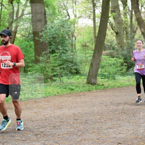 19.04.2026 - Hammer Lauf Dr. Thomas Lammeyer http://msf.ph/oto/9539726 19.04.2026 10:40:53 Laufen 123, 733 meine-sportfotos.de