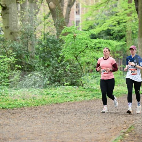 19.04.2026 - Hammer Lauf Dr. Thomas Lammeyer http://msf.ph/oto/9540183 19.04.2026 10:42:19 Laufen 244, 1009, 760 meine-sportfotos.de