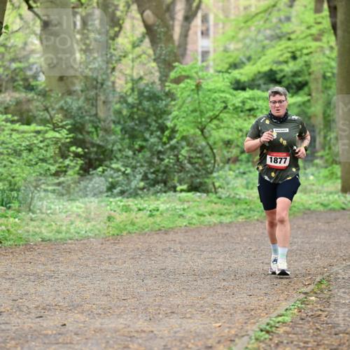 19.04.2026 - Hammer Lauf Dr. Thomas Lammeyer http://msf.ph/oto/9540647 19.04.2026 10:43:54 Laufen  meine-sportfotos.de