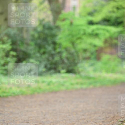 19.04.2026 - Hammer Lauf Dr. Thomas Lammeyer http://msf.ph/oto/9540945 19.04.2026 10:44:52 Laufen  meine-sportfotos.de