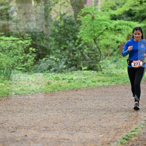 19.04.2026 - Hammer Lauf Dr. Thomas Lammeyer http://msf.ph/oto/9541457 19.04.2026 10:46:35 Laufen 273 meine-sportfotos.de