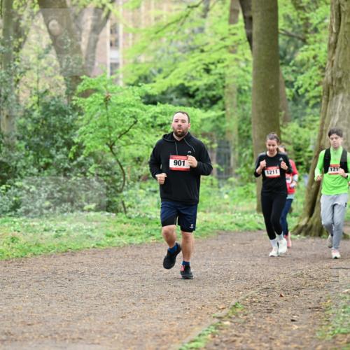 19.04.2026 - Hammer Lauf Dr. Thomas Lammeyer http://msf.ph/oto/9541649 19.04.2026 10:47:40 Laufen 901, 1211, 121, 101 meine-sportfotos.de