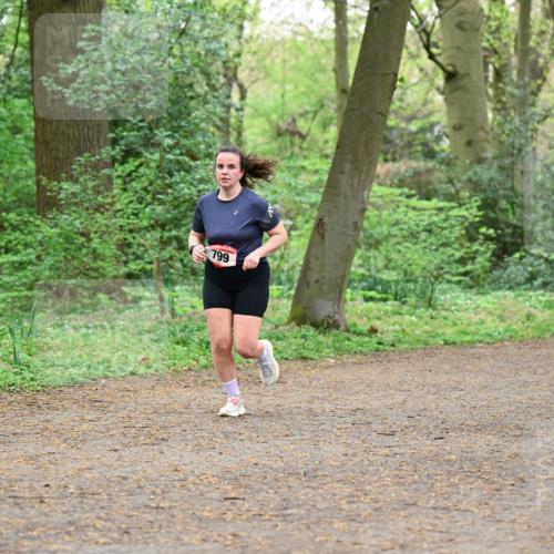 19.04.2026 - Hammer Lauf Dr. Thomas Lammeyer http://msf.ph/oto/9541787 19.04.2026 10:48:17 Laufen 799 meine-sportfotos.de