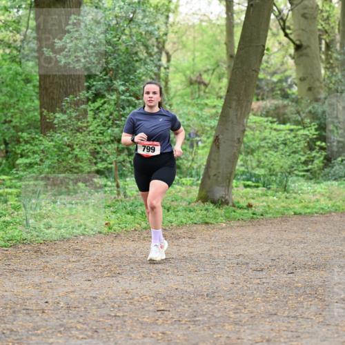 19.04.2026 - Hammer Lauf Dr. Thomas Lammeyer http://msf.ph/oto/9541789 19.04.2026 10:48:18 Laufen 799 meine-sportfotos.de