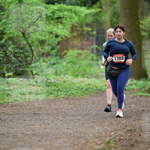 19.04.2026 - Hammer Lauf Dr. Thomas Lammeyer http://msf.ph/oto/9542209 19.04.2026 10:51:17 Laufen 1303 meine-sportfotos.de