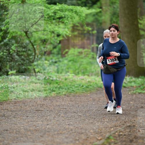 19.04.2026 - Hammer Lauf Dr. Thomas Lammeyer http://msf.ph/oto/9542211 19.04.2026 10:51:17 Laufen 1303 meine-sportfotos.de