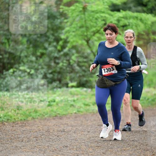 19.04.2026 - Hammer Lauf Dr. Thomas Lammeyer http://msf.ph/oto/9542221 19.04.2026 10:51:19 Laufen 1303 meine-sportfotos.de