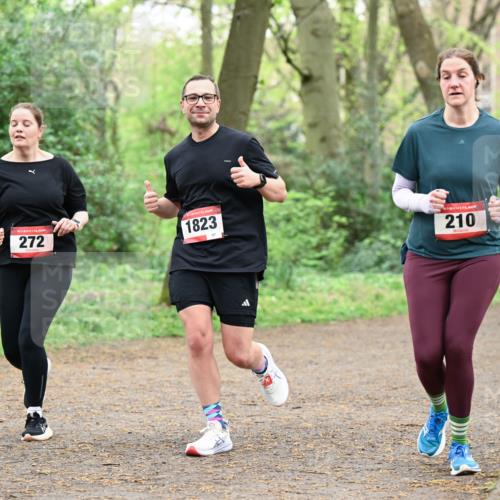 19.04.2026 - Hammer Lauf Dr. Thomas Lammeyer http://msf.ph/oto/9542277 19.04.2026 10:51:31 Laufen 272, 1823, 210 meine-sportfotos.de
