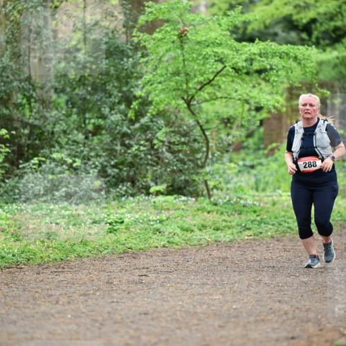 19.04.2026 - Hammer Lauf Dr. Thomas Lammeyer http://msf.ph/oto/9542476 19.04.2026 10:53:23 Laufen 288 meine-sportfotos.de