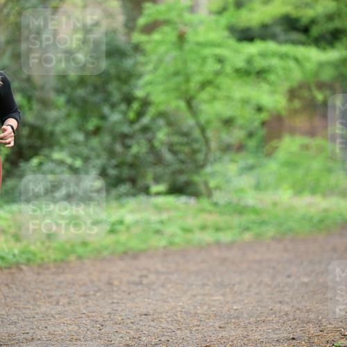 19.04.2026 - Hammer Lauf Dr. Thomas Lammeyer http://msf.ph/oto/9542524 19.04.2026 10:53:30 Laufen 1297 meine-sportfotos.de