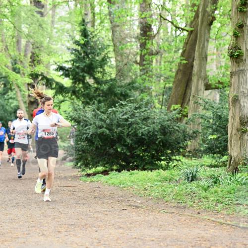 19.04.2026 - Hammer Lauf Dr. Thomas Lammeyer http://msf.ph/oto/9543465 19.04.2026 11:02:57 Laufen 520, 1255 meine-sportfotos.de