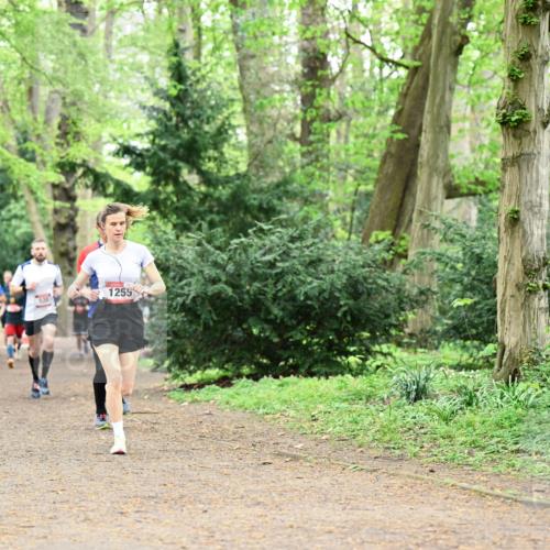 19.04.2026 - Hammer Lauf Dr. Thomas Lammeyer http://msf.ph/oto/9543468 19.04.2026 11:02:58 Laufen 1255 meine-sportfotos.de