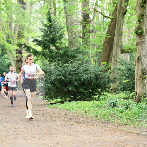 19.04.2026 - Hammer Lauf Dr. Thomas Lammeyer http://msf.ph/oto/9543471 19.04.2026 11:02:58 Laufen 1255 meine-sportfotos.de