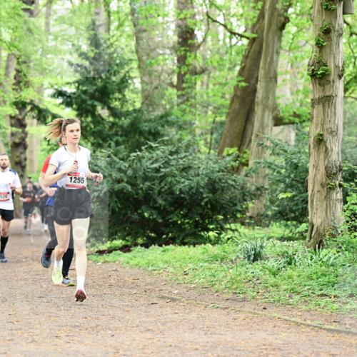 19.04.2026 - Hammer Lauf Dr. Thomas Lammeyer http://msf.ph/oto/9543474 19.04.2026 11:02:58 Laufen 520, 1255 meine-sportfotos.de