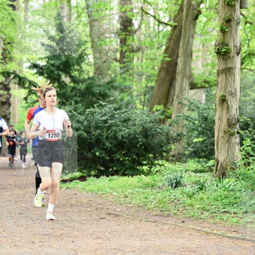 19.04.2026 - Hammer Lauf Dr. Thomas Lammeyer http://msf.ph/oto/9543476 19.04.2026 11:02:58 Laufen 1255 meine-sportfotos.de