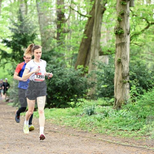 19.04.2026 - Hammer Lauf Dr. Thomas Lammeyer http://msf.ph/oto/9543483 19.04.2026 11:02:59 Laufen 1255 meine-sportfotos.de