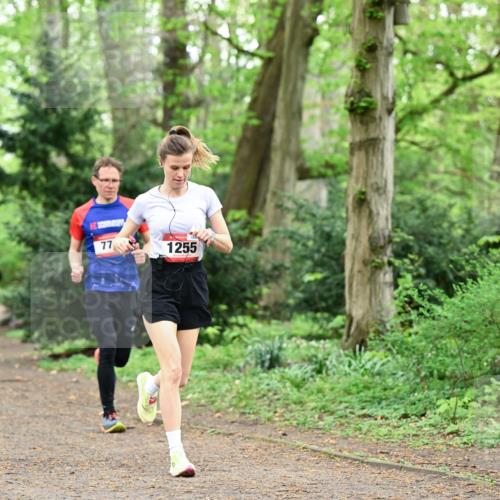 19.04.2026 - Hammer Lauf Dr. Thomas Lammeyer http://msf.ph/oto/9543486 19.04.2026 11:02:59 Laufen 1255 meine-sportfotos.de