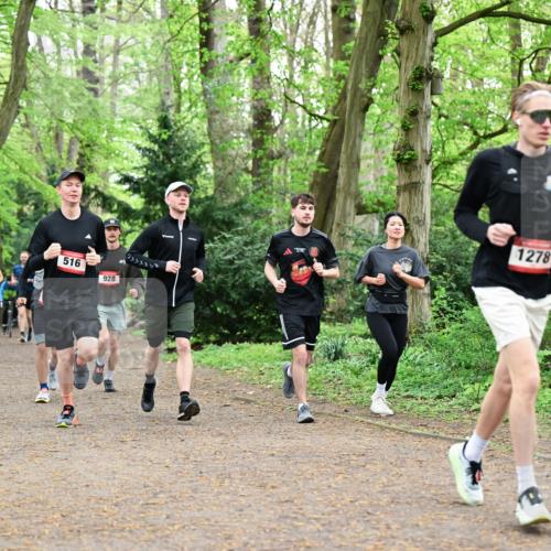 19.04.2026 - Hammer Lauf Dr. Thomas Lammeyer http://msf.ph/oto/9543594 19.04.2026 11:03:12 Laufen 221, 516, 928, 1278 meine-sportfotos.de