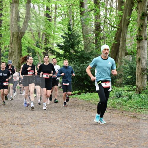 19.04.2026 - Hammer Lauf Dr. Thomas Lammeyer http://msf.ph/oto/9543963 19.04.2026 11:03:56 Laufen 144, 141, 145 meine-sportfotos.de