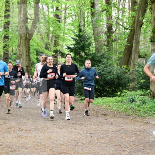 19.04.2026 - Hammer Lauf Dr. Thomas Lammeyer http://msf.ph/oto/9543969 19.04.2026 11:03:56 Laufen 624, 268, 141, 144, 145 meine-sportfotos.de