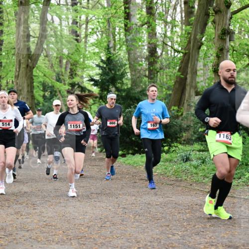 19.04.2026 - Hammer Lauf Dr. Thomas Lammeyer http://msf.ph/oto/9544026 19.04.2026 11:04:03 Laufen 513, 860, 163, 514, 1151, 1163, 952 meine-sportfotos.de